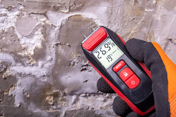 Best Mold Testing  in Pardeeville, WI