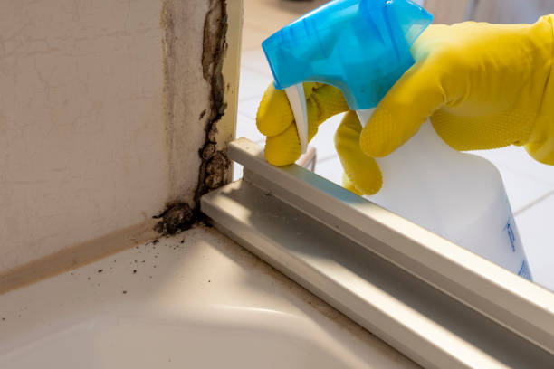 Best Professional Mold Removal  in Pardeeville, WI
