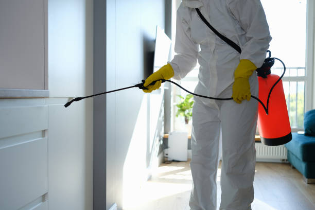 Best Same-Day Mold Removal  in Pardeeville, WI